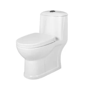 توالت بهداشتی مدرن