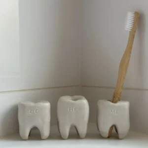 جا مسواکی پینترسی مدل دندون